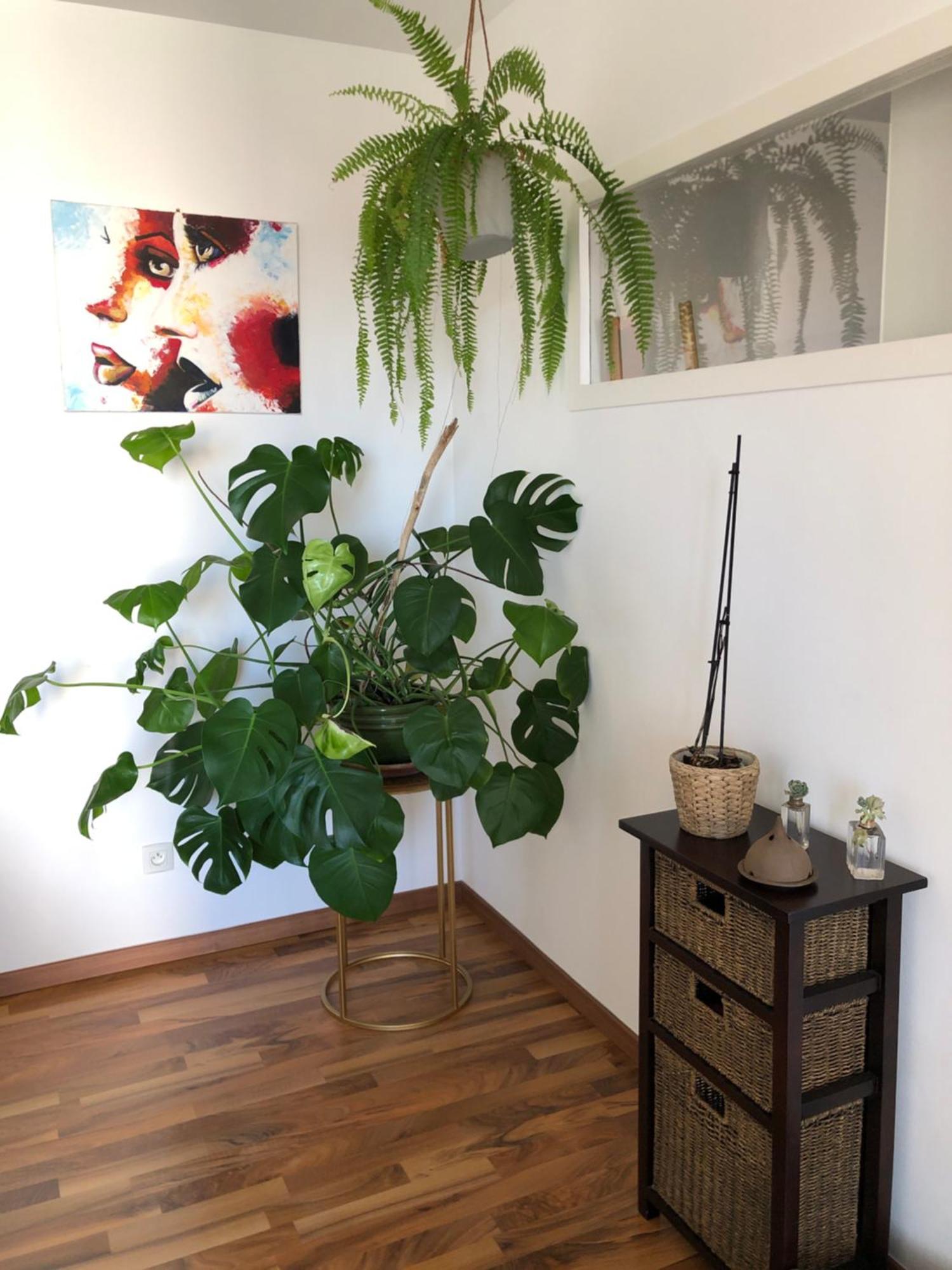 Bel Appartement Nimois Au Calme Avec Balcon Nîmes Exteriér fotografie